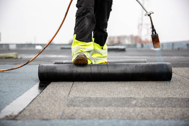Best Sheet Metal Roofing  in Fair Oaks, VA