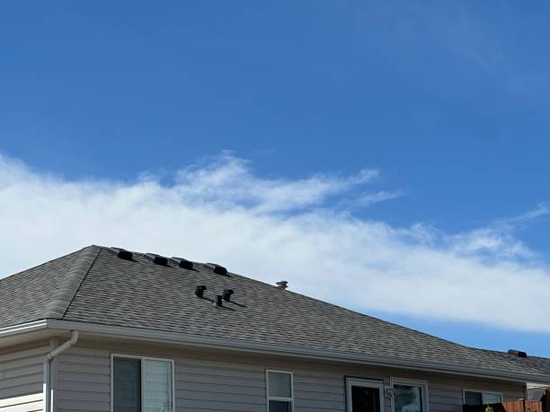 Best Steel Roofing  in Fair Oaks, VA